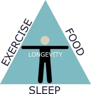 Longevity Triangle ZERO ZONE Sleep